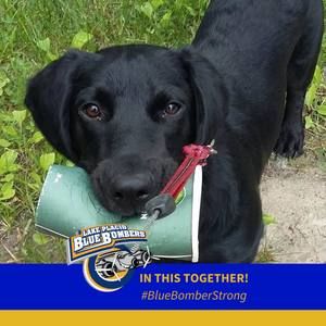 Meet your Posher, Patty